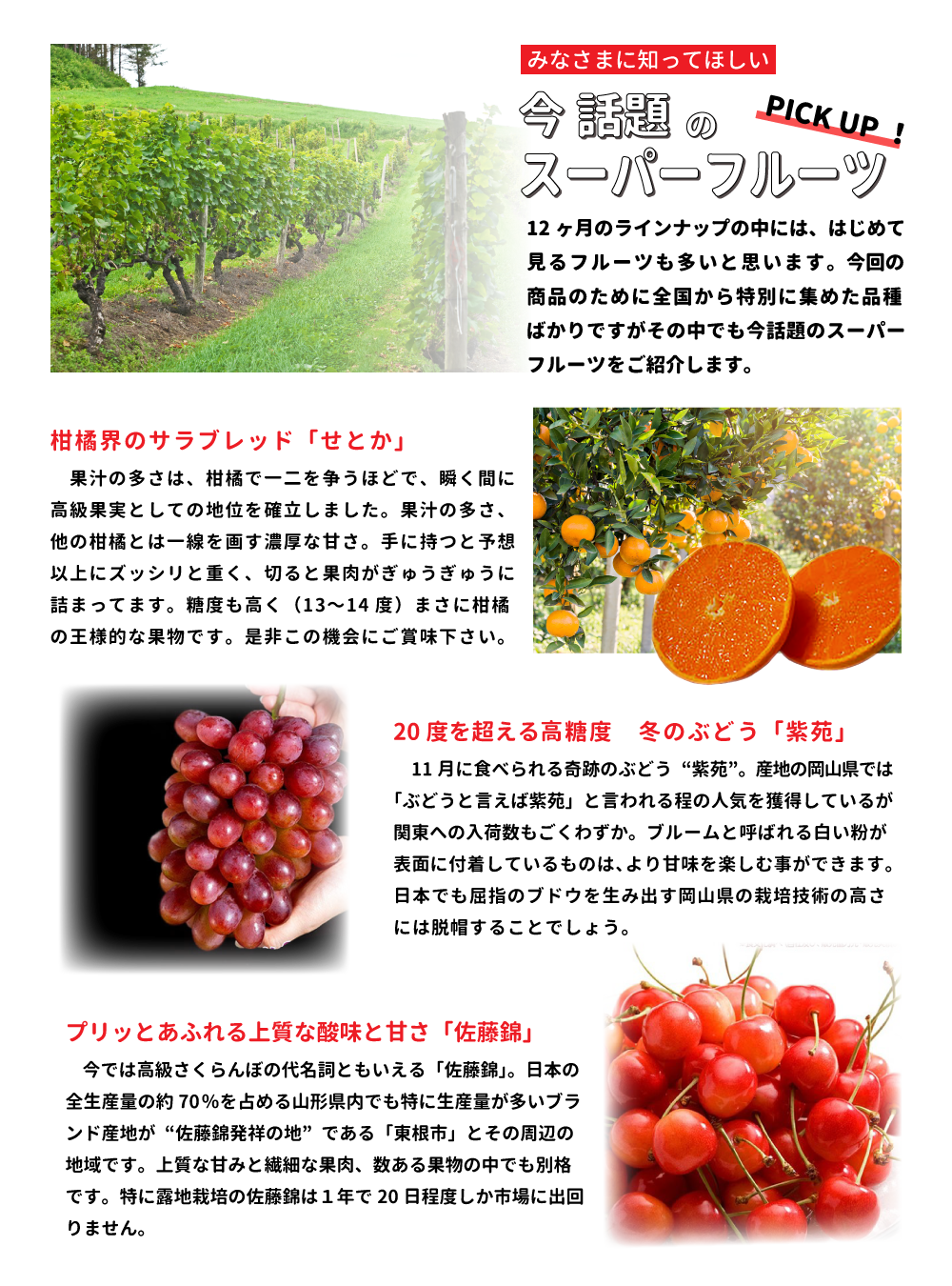 今話題のスーパーフルーツ